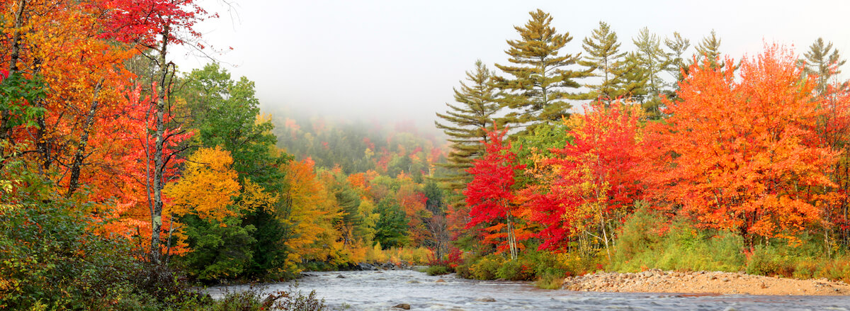 White Mountain River(1)
