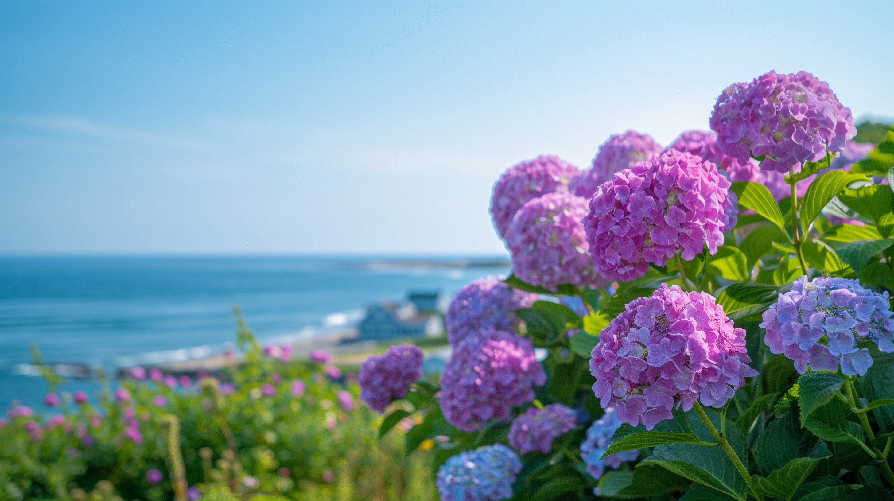 AdobeStock_781435631