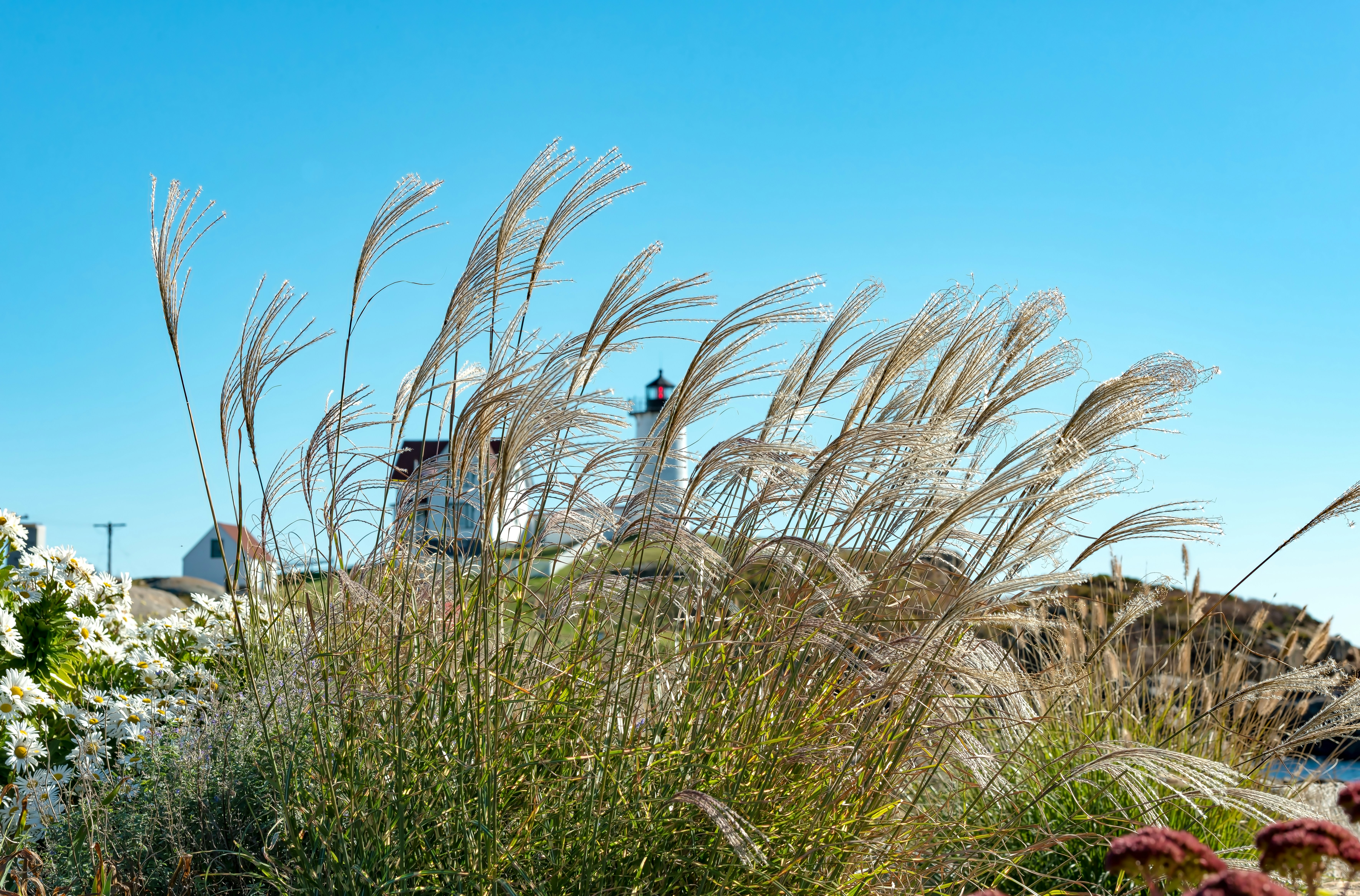 York Maine - Nubble Lighthouse-greg-rosenke-OqP4uMDQ1e0-unsplash